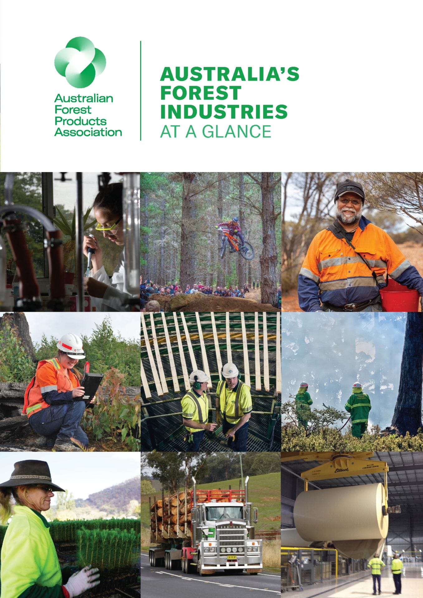 Forest products' "Industry at a glance" Australian Forest Products